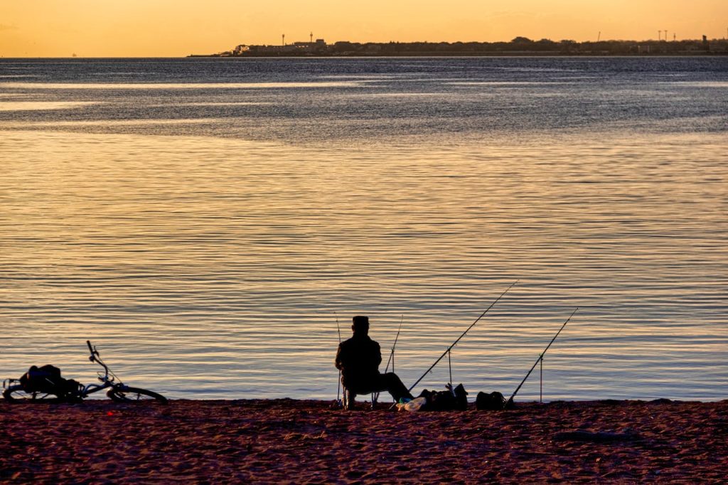 Cannes à pêche